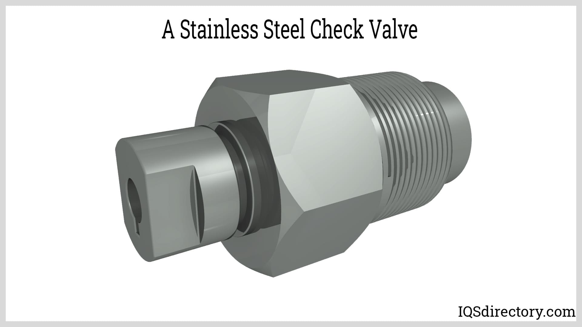 A Stainless Steel Check Valve
