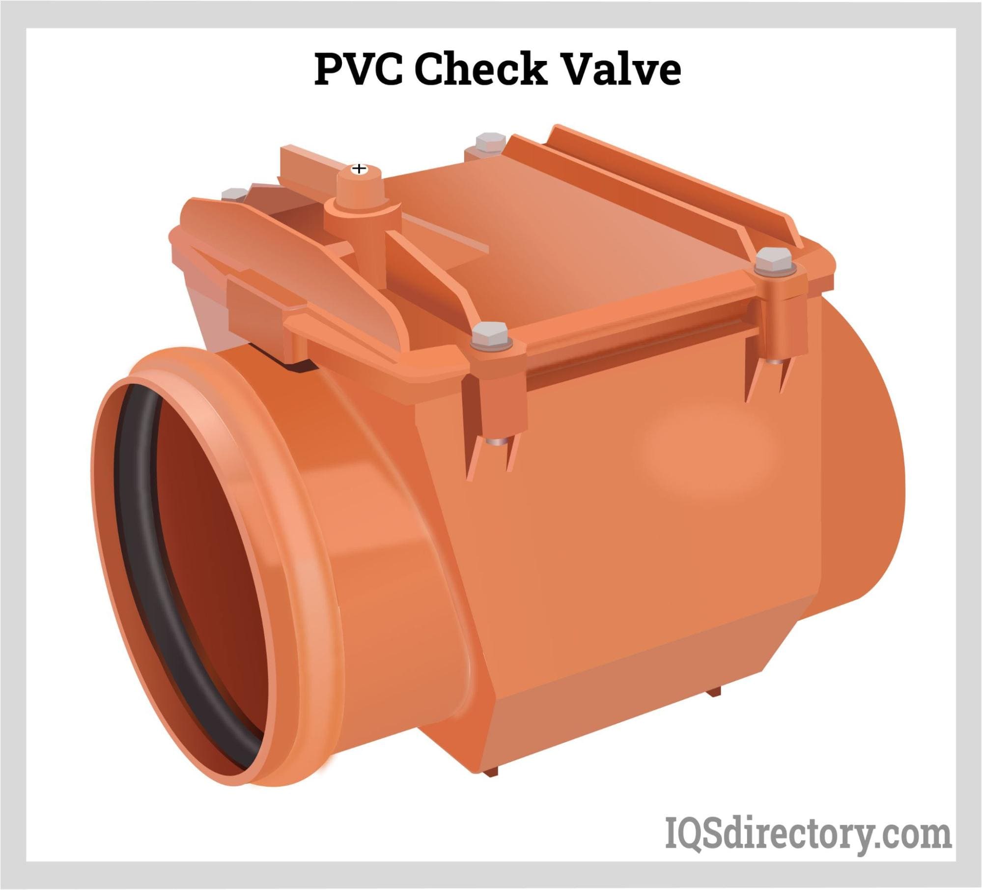 PVC Check Valve